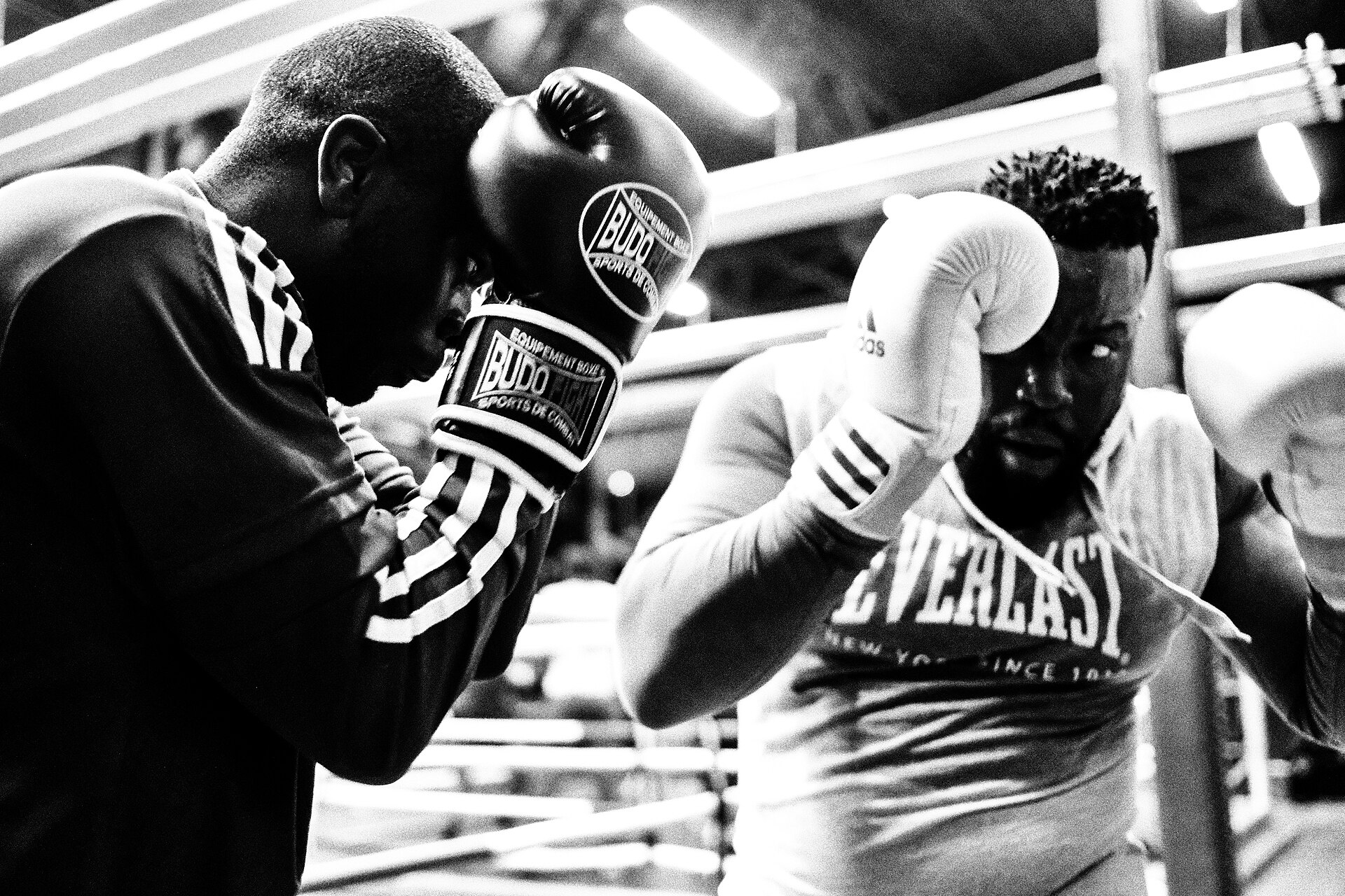 Entraînement de boxe
