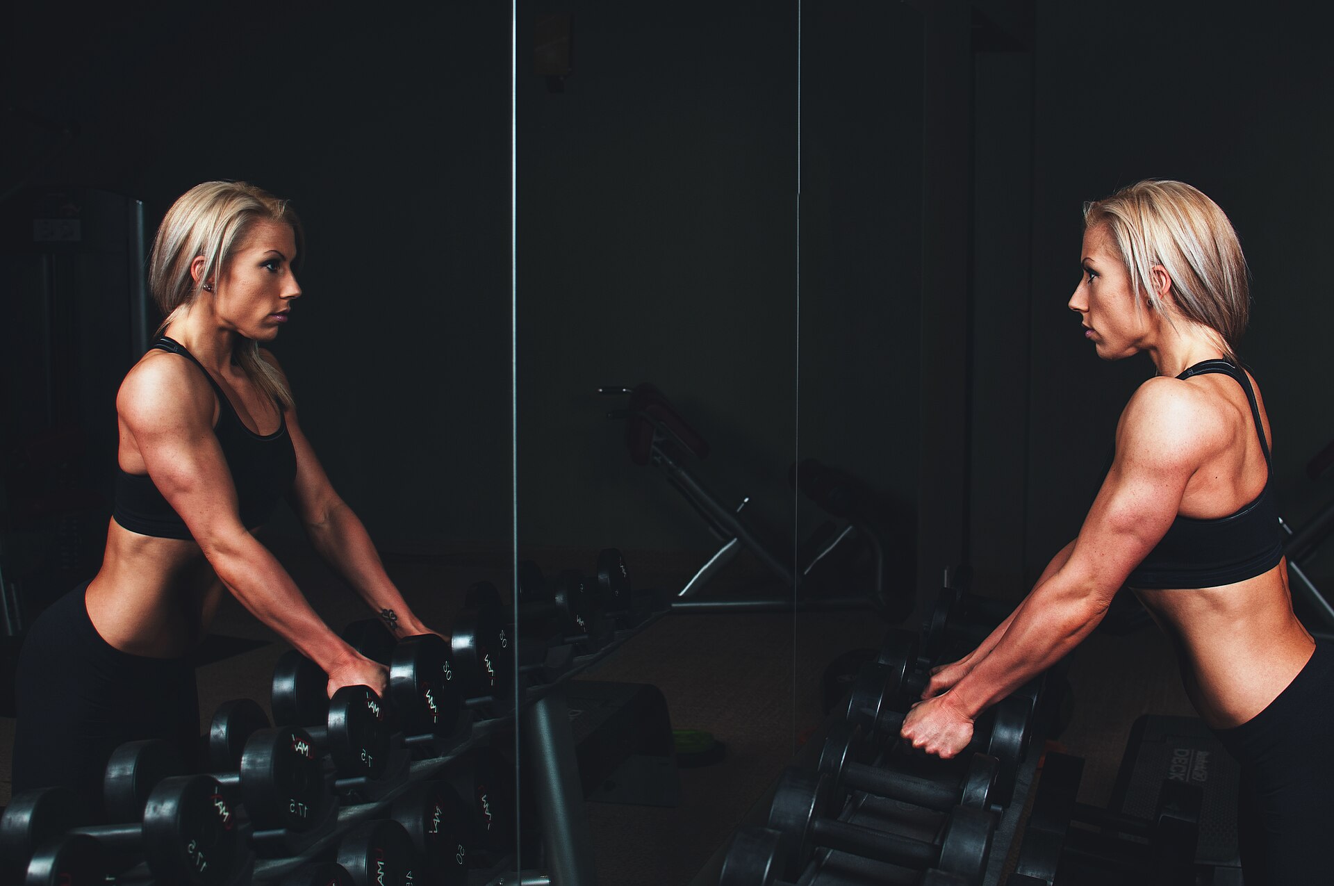 Séance de musculation